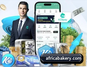开云app官方在线入口 APP